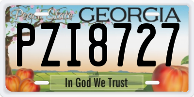 GA license plate PZI8727