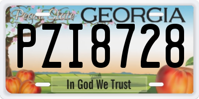 GA license plate PZI8728