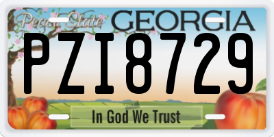 GA license plate PZI8729