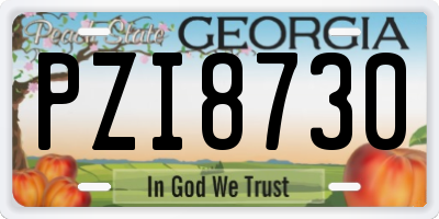 GA license plate PZI8730