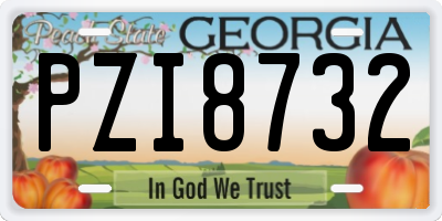 GA license plate PZI8732