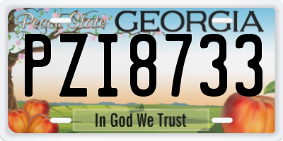 GA license plate PZI8733