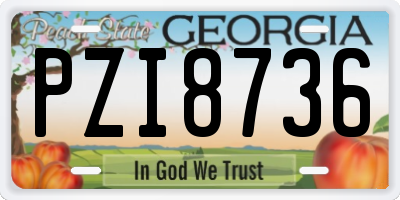 GA license plate PZI8736