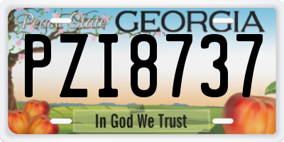 GA license plate PZI8737