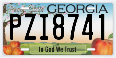 GA license plate PZI8741