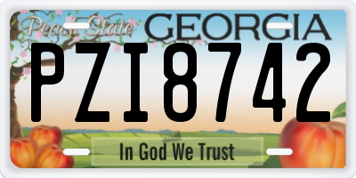 GA license plate PZI8742
