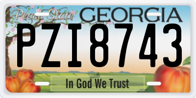 GA license plate PZI8743