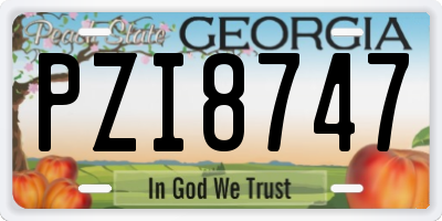 GA license plate PZI8747