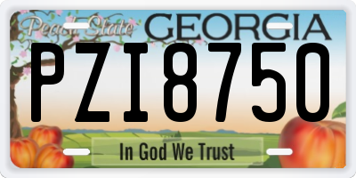 GA license plate PZI8750