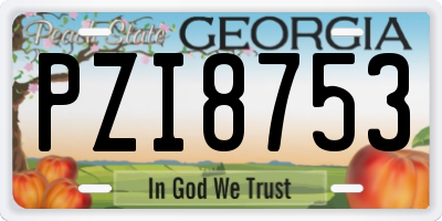 GA license plate PZI8753