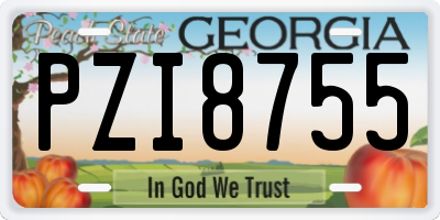 GA license plate PZI8755