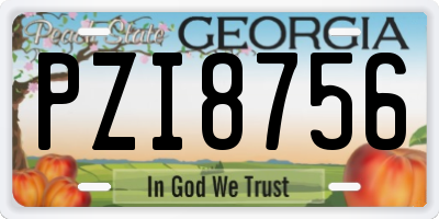 GA license plate PZI8756