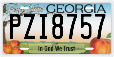 GA license plate PZI8757
