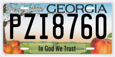 GA license plate PZI8760