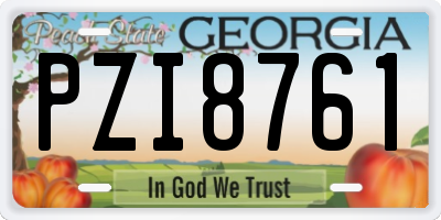 GA license plate PZI8761