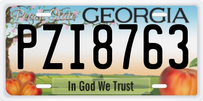 GA license plate PZI8763