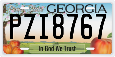GA license plate PZI8767