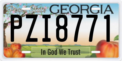 GA license plate PZI8771