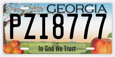 GA license plate PZI8777