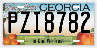 GA license plate PZI8782