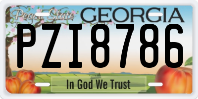 GA license plate PZI8786