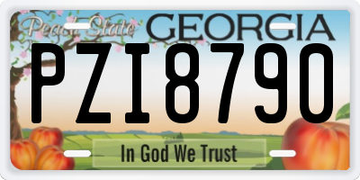 GA license plate PZI8790