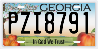 GA license plate PZI8791