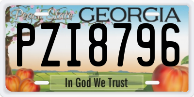 GA license plate PZI8796