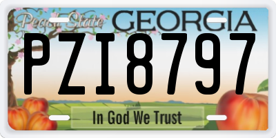 GA license plate PZI8797