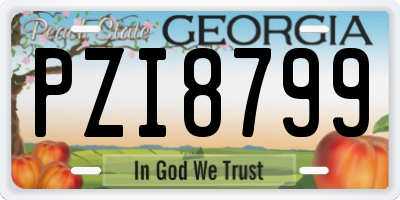 GA license plate PZI8799