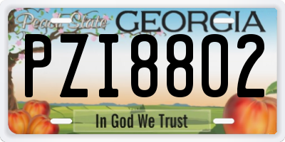 GA license plate PZI8802