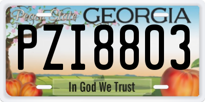 GA license plate PZI8803