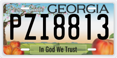 GA license plate PZI8813