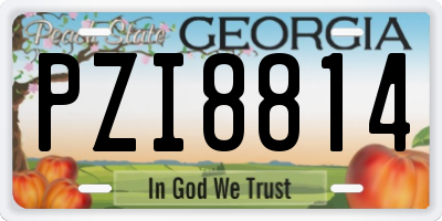 GA license plate PZI8814