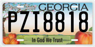 GA license plate PZI8818