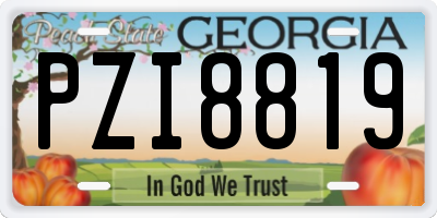 GA license plate PZI8819
