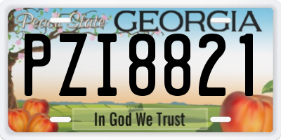 GA license plate PZI8821
