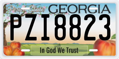 GA license plate PZI8823