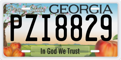 GA license plate PZI8829