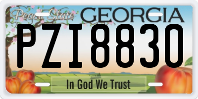 GA license plate PZI8830