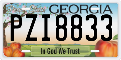 GA license plate PZI8833
