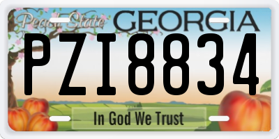 GA license plate PZI8834