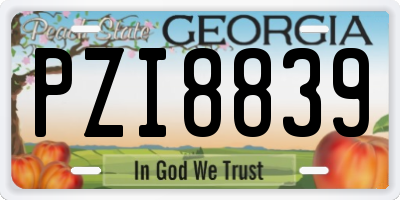 GA license plate PZI8839