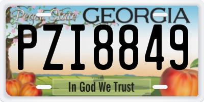 GA license plate PZI8849