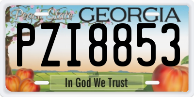 GA license plate PZI8853