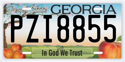 GA license plate PZI8855