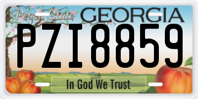 GA license plate PZI8859