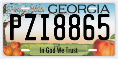 GA license plate PZI8865