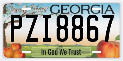 GA license plate PZI8867