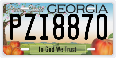 GA license plate PZI8870